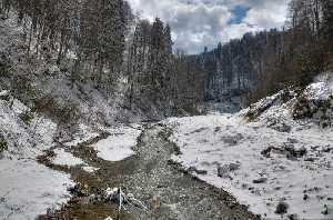sinekli-yaylasi