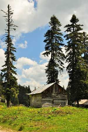 cicekli-yaylasi