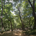 https://gezgince.com/ilceler_album/145/thumbs/susurluk-piknik.jpg