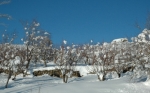 https://gezgince.com/ilceler_album/891/thumbs/Sarivelilerr--.jpg